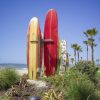 Tavole Surf (BCH02)