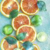 Arance e Lime (FSL03)